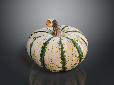 Fresh Ripe Small Round Pumpkin With Green And White Stripes On Dark Background 3d model