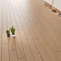 Natural Wooden Flooring In Home Interior With Small Potted Plants And Shoes