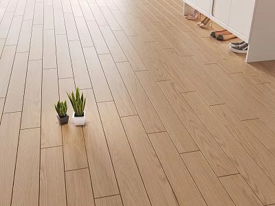 Natural Wooden Flooring In Home Interior With Small Potted Plants And Shoes 3d model