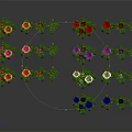 Various Colored Roses with Green Leaves in Garden Flower Collection