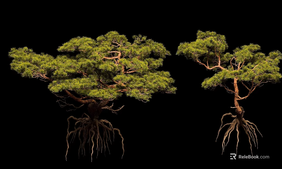 Arbor Trees With Exposed Root Systems And Lush Green Foliage Display Natural Growth Features 3d model 