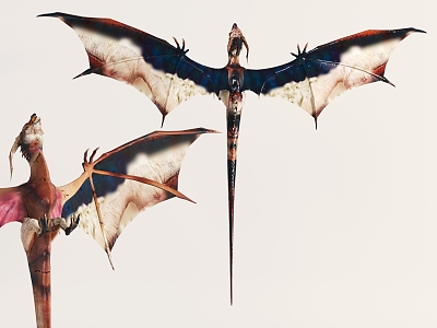 Modern Dinosaur Pterosaur 3d model