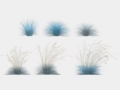 Ornamental Blue And Grayish Feathery Decorative Grasses For Landscaping Design 3d model
