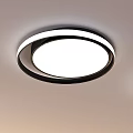 Modern Circular Ceiling Lights With Black And White Ring Design For Interior Lighting 3d model