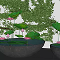 Zen Style Fish Tank Aquarium with Lotus Plants and Green Wall