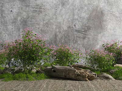 Pink Flowering Plants With Green Leaves Against Gray Textured Wall And Wooden Log 3d model