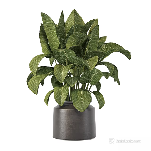 Decorative Plant Arrangement With Green Leafy Foliage In Dark Ceramic Vase For Home Decor 3d model 