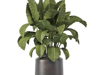 Decorative Plant Arrangement With Green Leafy Foliage In Dark Ceramic Vase For Home Decor 3d model