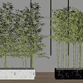 Bamboo Bonsai Potted Plants with Marble Base in Modern Interior Setting 3d model