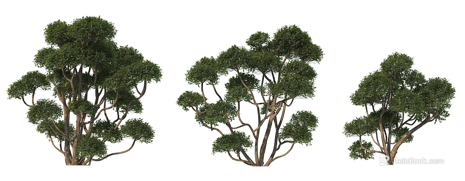 Lush Green Arbor Trees With Curved Trunks And Dense Foliage 3d model