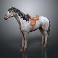 Gray and white horse with black mane and brown leather saddle standing 3d model