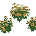 Vibrant Yellow Flowers With Green Leaves In Lush Garden Clusters