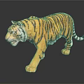 Realistic Tiger Model With Yellow Black Stripes And Walking Pose
