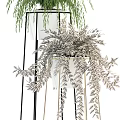 Indoor Potted Plants With Fern Palm And Metal White Stands For Home Decor