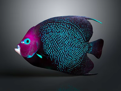 Vibrant Deep Purple Fish With Blue Spots And Blue Eyes On Gray Background 3d model