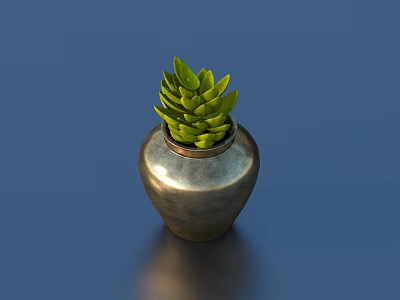 Bonsai Succulent Plant In Silver Vase On Blue Background With Green Leaves 3d model