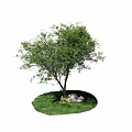 The Modern Tree 3d model