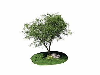 The Modern Tree 3d model