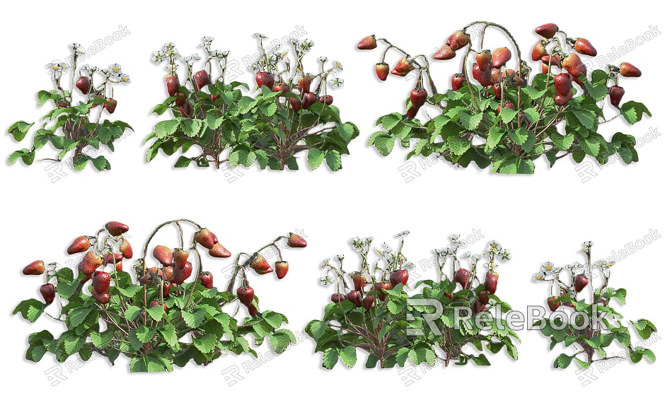 Strawberry Fruit Tree Shrub Plant Strawberry Shrub Fruit Vegetable Plant Strawberry Fruit Plant Garden Fruit Plant Shrub model