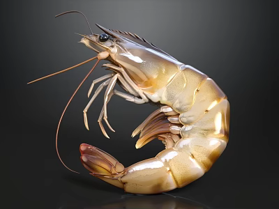 Whole Fresh Raw Shrimp With Natural Brown And White Stripes On Dark Background 3d model
