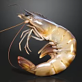 Whole Fresh Raw Shrimp With Natural Brown And White Stripes On Dark Background