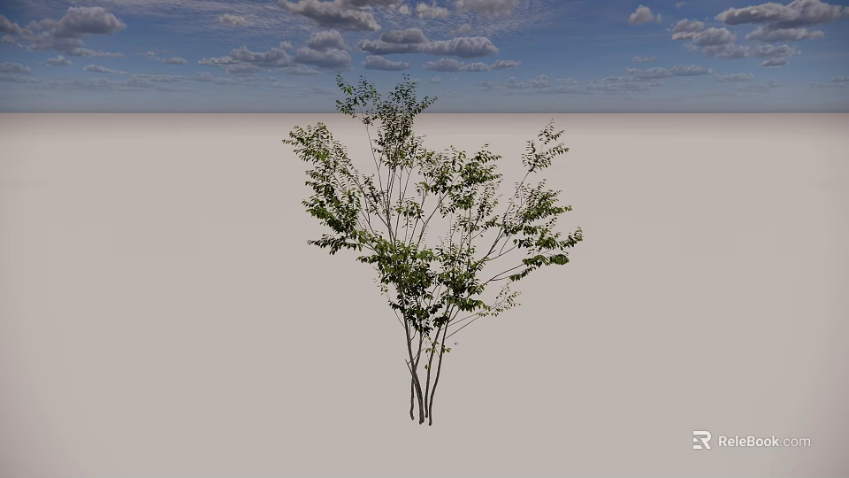 Single Green Tree Standing on Open Gray Ground Under Blue Sky With White Clouds 3d model