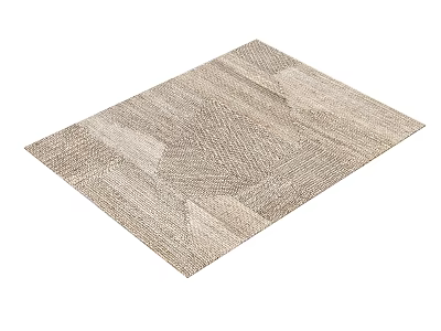 Modern Square Carpet Rectangular 3d model