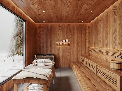Luxury SPA Sauna With Wooden Walls Ceiling Snow View Window Massage Bed And Benches 3d model