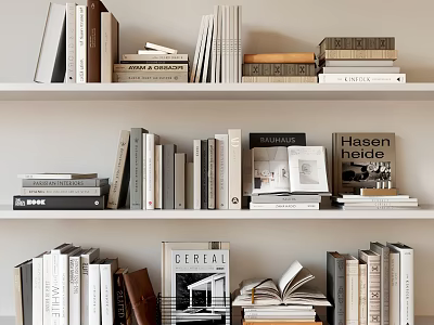 Variety of Books and Magazines on Multiple Shelves with Stacked Standing and Open Book 3d model