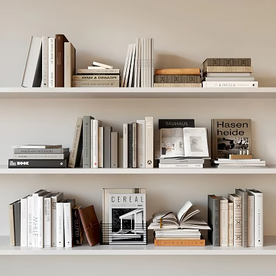 Variety of Books and Magazines on Multiple Shelves with Stacked Standing and Open Book 3d model