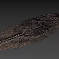 Ancient Aquatic Reptile Fossil Skeleton As Game Movie Character Inspiration