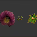 Vibrant Diverse Plants Featuring Purple Red And Orange Flowers On Black Background