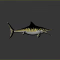 Realistic Swordfish 3D Model With Blue Yellow Stripes Dorsal Tail Fins Reflection On Smooth Surface