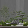 Modern Indoor Miniature Garden Design With Bonsai Pine Bamboo Rocks And Moss