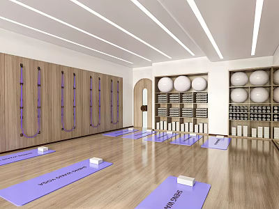 Modern Yoga Studio With Purple Mats Hanging Resistance Bands Yoga Balls And Wooden Floors 3d model