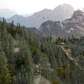 Gorgeous Natural Mountain Forest Landscape With Lush Pines Winding Path And Flying Birds Above Peaks