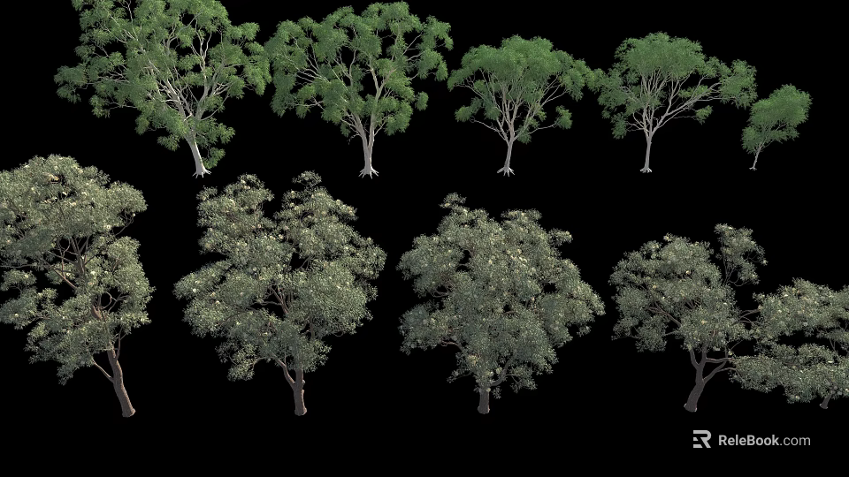 Various Types of Arbor Trees With Green Foliage And Different Canopy Shapes On Black Background 3d model 