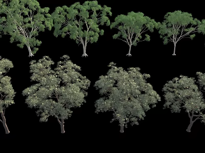 Various Types of Arbor Trees With Green Foliage And Different Canopy Shapes On Black Background 3d model