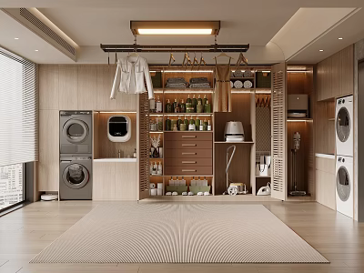 Modern Laundry Room Interior With Washing Machines Dryers Hanging Rod And Storage Cabinets 3d model