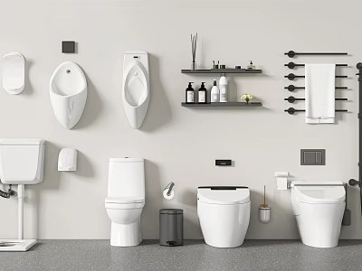 Different Styles Of Bathroom Toilets Including Wall Mounted And Floor Standing With Accessories 3d model