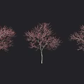 Red Leaf Trees In Varied Forms With Vibrant Foliage On Black Background 3d model