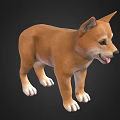 Cute Brown Shiba Inu Standing With Tongue Out On Black Background
