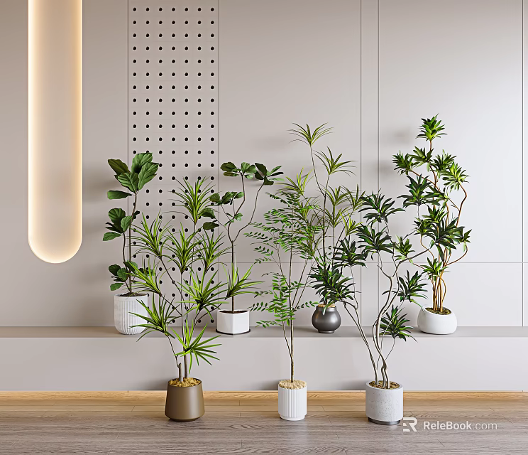 Bonsai Potted Plants Collection With Different Green Plants In White Metallic Pots Interior 3d model 