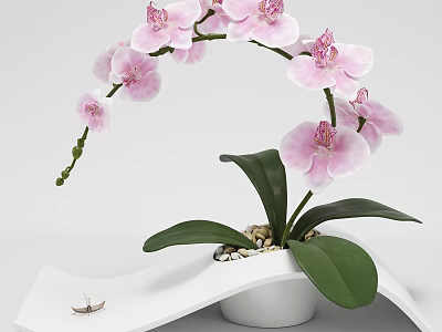 Pink Orchid Bonsai Plant with Green Leaves in White Pot and Small Boat Decoration 3d model