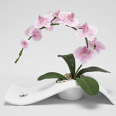 Pink Orchid Bonsai Plant with Green Leaves in White Pot and Small Boat Decoration 3d model