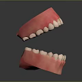Detailed Game Movie Character Tooth Model With Pink Gums And White Teeth Design