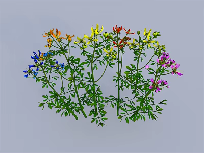 Colorful Plant With Various Colored Flowers Green Leaves And Stems 3d model