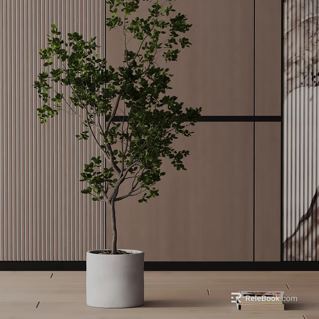 Bonsai Plant With Lush Green Leaves And Slender Trunk In White Pot Modern Interior Setting 3d model 