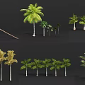 Diverse Trees Collection Including Palm Trees With Green and Golden Leaves