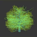 Realistic 3D Tree Model With Lush Green Foliage And Brown Trunk